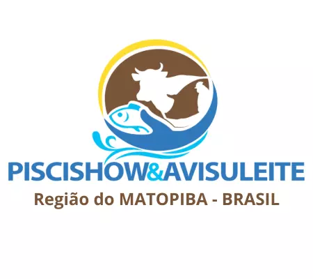 Sobre a cidade-sede